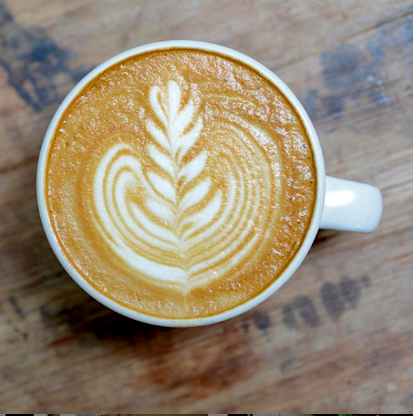 Milk froth rosette on a latte in white mug