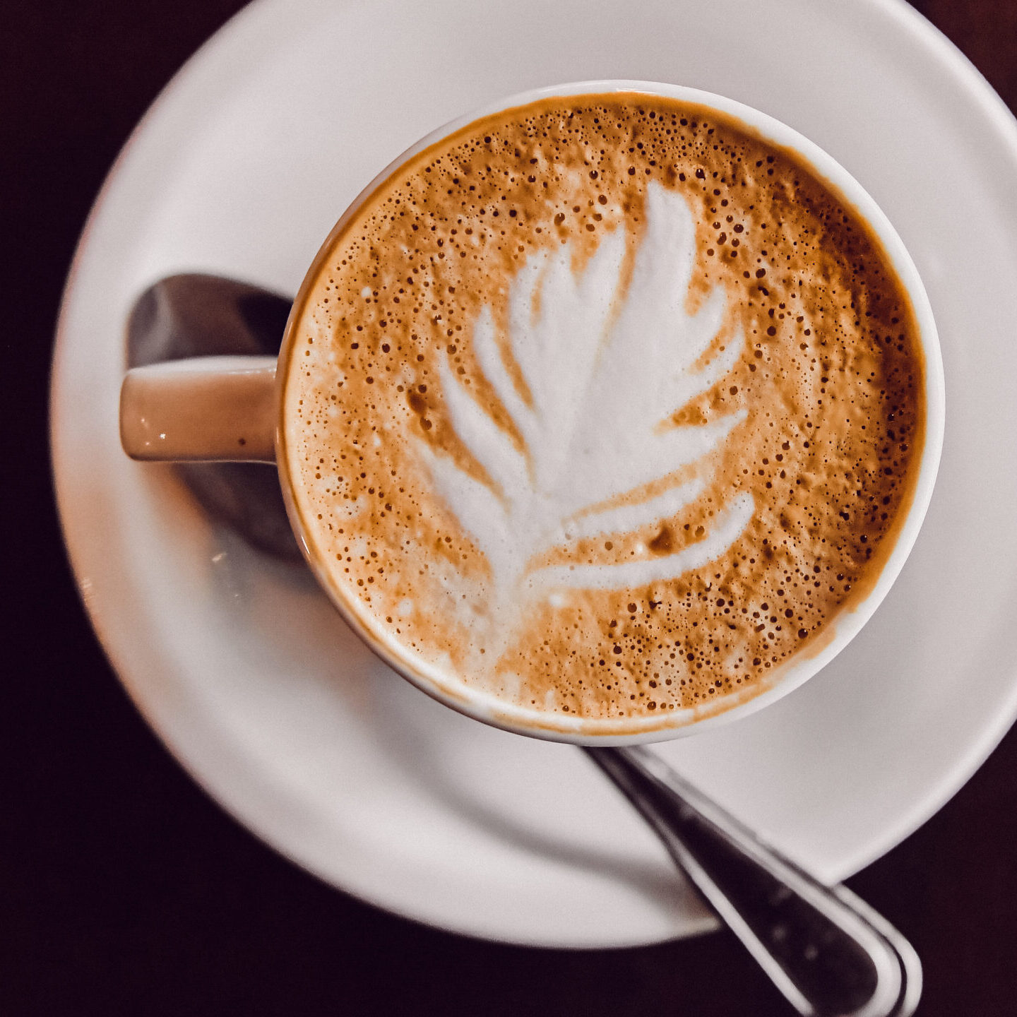 Milk froth rosette on a latte in white mug